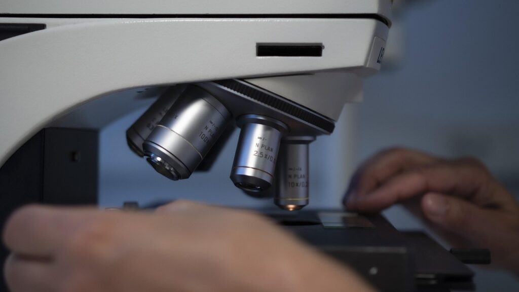 Apa Itu Mikrobiologi? Penjelasan Lengkap untuk Pemula microscope, hands, medical, lab, laboratory, biotechnology, clinic, biochemistry, equipment, lenses, scientific, microbiology, hand, analysis, research, microscope, microscope, microscope, microscope, microscope, lab, lab, laboratory, biotechnology, biotechnology, biotechnology, biotechnology, biochemistry, biochemistry, microbiology, microbiology, microbiology, microbiology