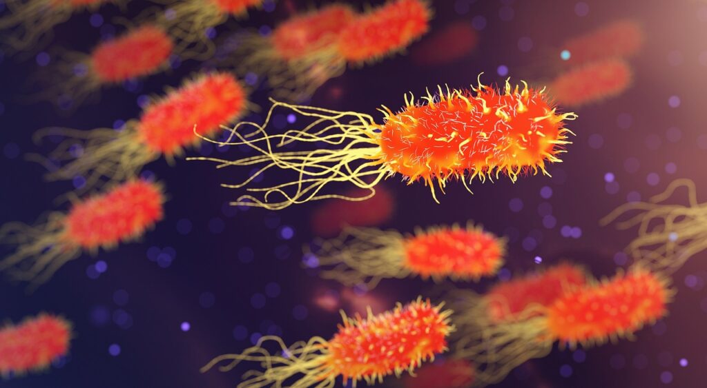5 Mikroorganisme yang Mengubah Dunia bacteria, microbiology, organism, biology, science, medicine, healthcare, microscopic, disease, genetic, bacteria, bacteria, bacteria, bacteria, bacteria