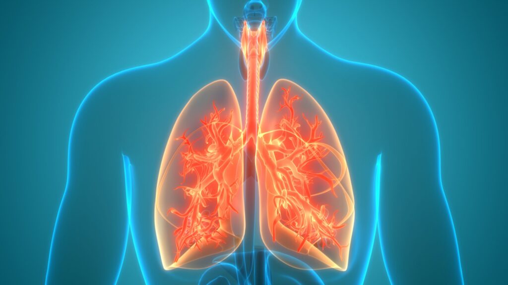 Mengenal Mycobacterium tuberculosis: Bakteri Penyebab TBC istock 1226884277 scaled