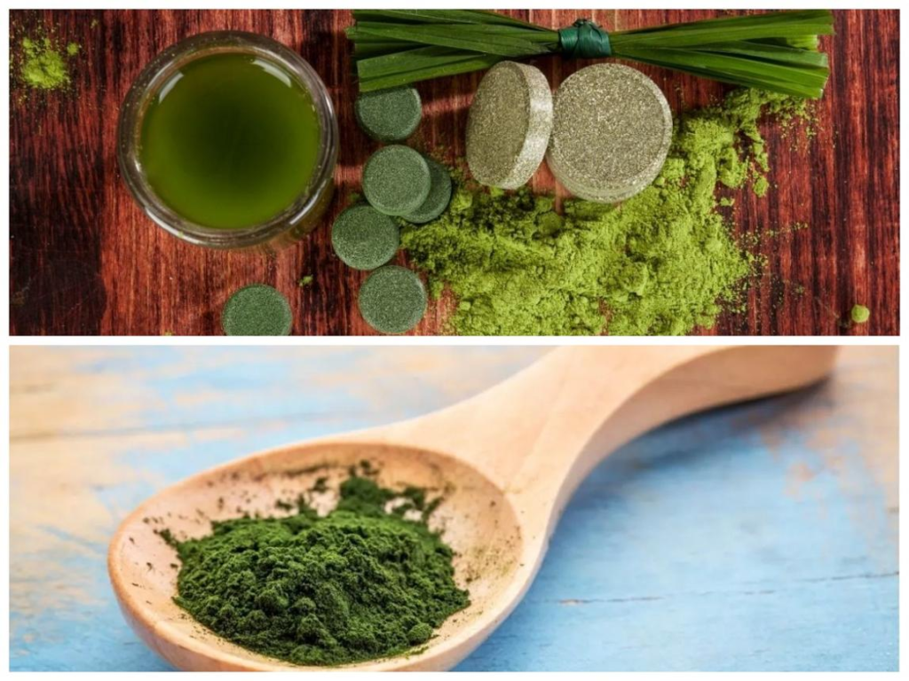 Potensi Mikroalga Chlorella sp.: Mikroorganisme Hijau dengan Segudang Manfaat image