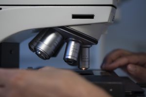 microscope, hands, medical, lab, laboratory, biotechnology, clinic, biochemistry, equipment, lenses, scientific, microbiology, hand, analysis, research, microscope, microscope, microscope, microscope, microscope, lab, lab, laboratory, biotechnology, biotechnology, biotechnology, biotechnology, biochemistry, biochemistry, microbiology, microbiology, microbiology, microbiology